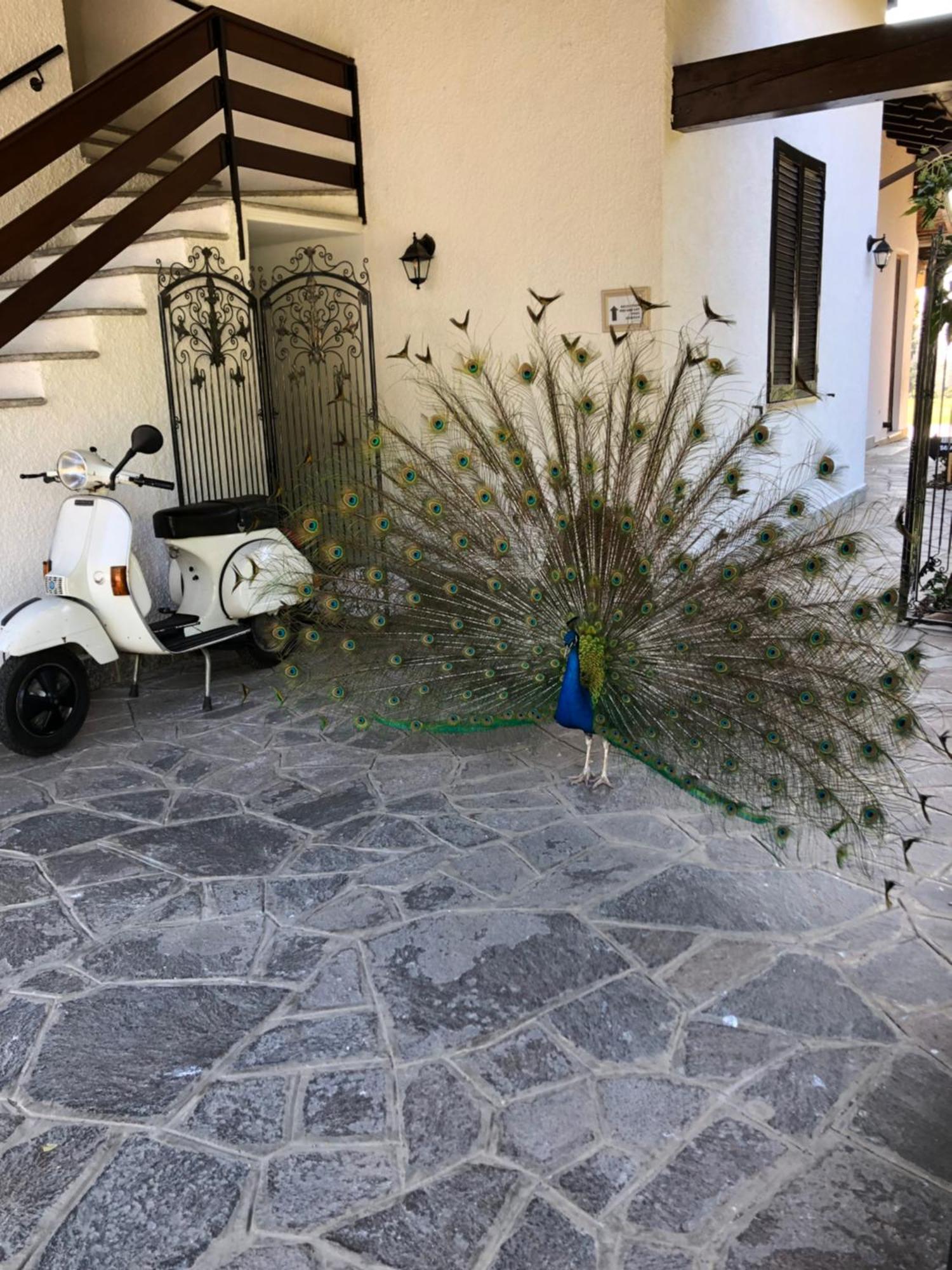 "Ai 4 Soli" Cermenate Exterior foto