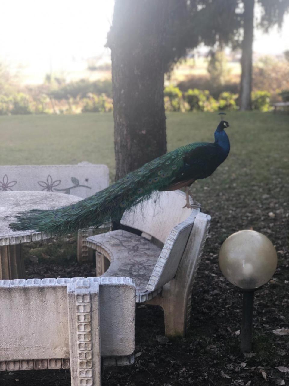 "Ai 4 Soli" Cermenate Exterior foto
